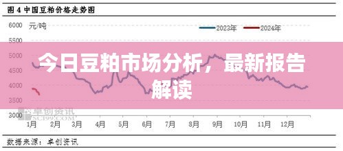 今日豆粕市场分析，最新报告解读