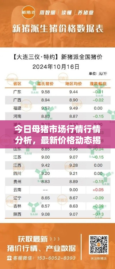今日母猪市场行情行情分析，最新价格动态揭秘