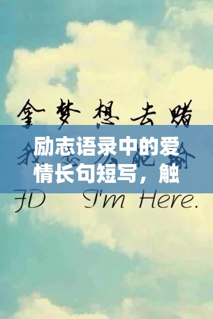 励志语录中的爱情长句短写，触动心灵的情感告白