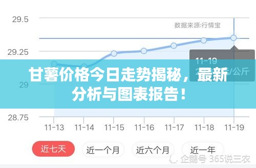 甘薯价格今日走势揭秘，最新分析与图表报告！