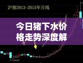 今日猪下水价格走势深度解析
