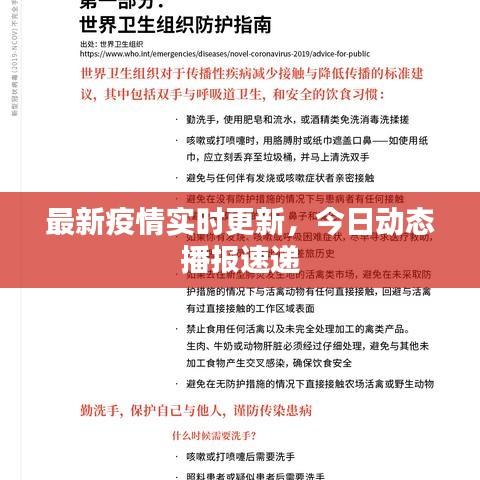 最新疫情实时更新，今日动态播报速递