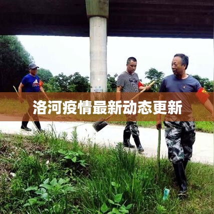 洛河疫情最新动态更新