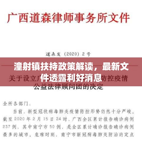 潼射镇扶持政策解读，最新文件透露利好消息