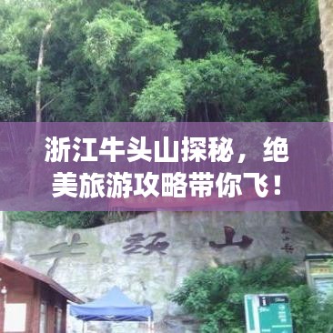 长颈鸟喙