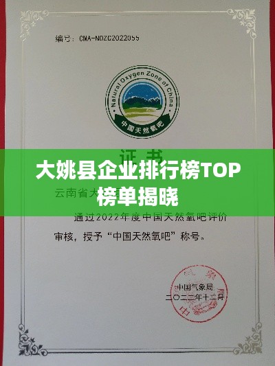 大姚县企业排行榜TOP榜单揭晓