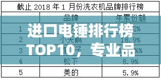 进口电锤排行榜TOP10，专业品质选择指南