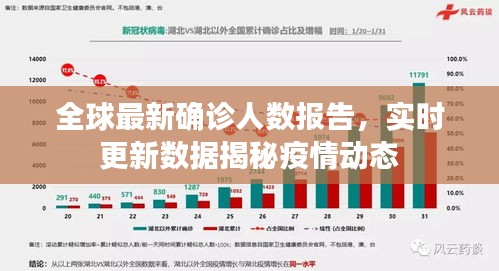 全球最新确诊人数报告，实时更新数据揭秘疫情动态