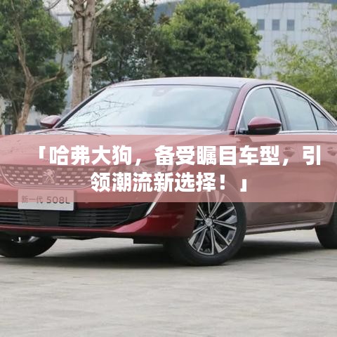 「哈弗大狗，备受瞩目车型，引领潮流新选择！」