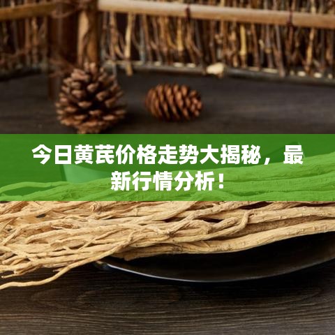 今日黄芪价格走势大揭秘，最新行情分析！