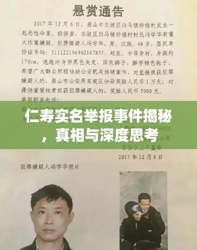 仁寿实名举报事件揭秘，真相与深度思考