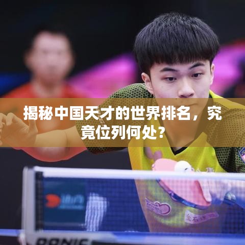 揭秘中国天才的世界排名，究竟位列何处？