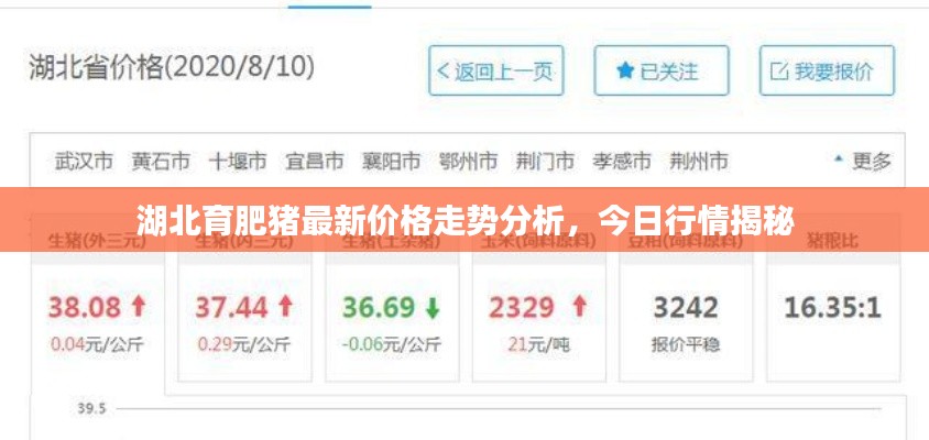 湖北育肥猪最新价格走势分析，今日行情揭秘