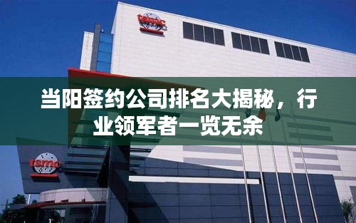 当阳签约公司排名大揭秘，行业领军者一览无余