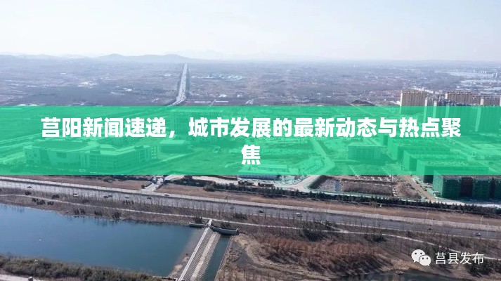 莒阳新闻速递，城市发展的最新动态与热点聚焦