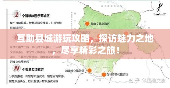 纲挈目张