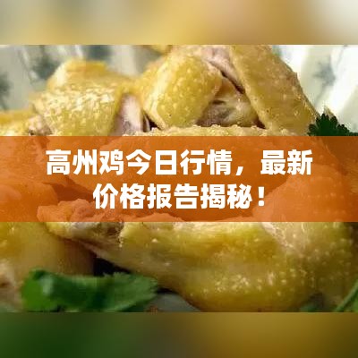 高州鸡今日行情，最新价格报告揭秘！