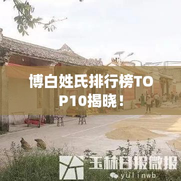 博白姓氏排行榜TOP10揭晓！