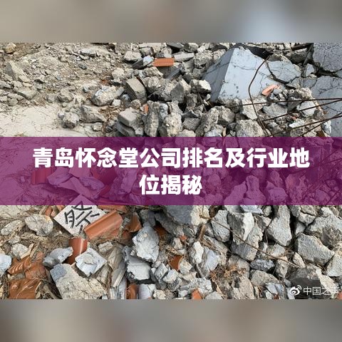青岛怀念堂公司排名及行业地位揭秘