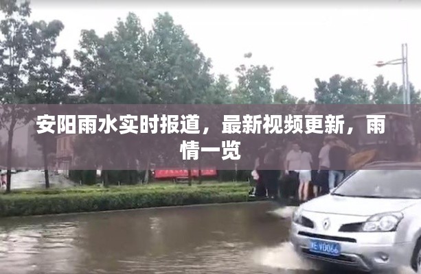 安阳雨水实时报道，最新视频更新，雨情一览