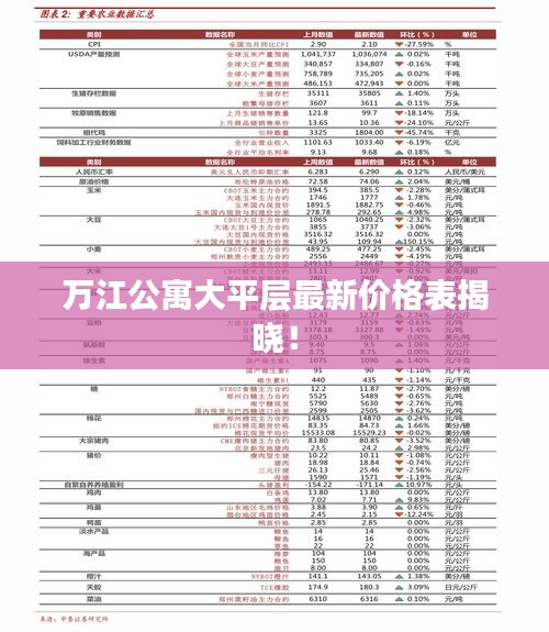 万江公寓大平层最新价格表揭晓！