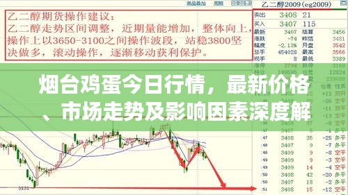 烟台鸡蛋今日行情，最新价格、市场走势及影响因素深度解析