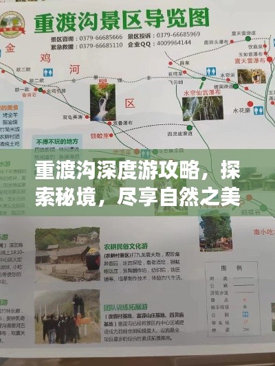 虫书鸟篆