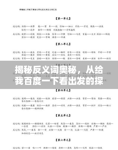 揭秘反义词奥秘，从给我百度一下看出发的探讨