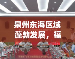 泉州东海区域蓬勃发展，福建新闻头条瞩目