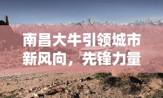 南昌大牛引领城市新风向，先锋力量动态揭秘