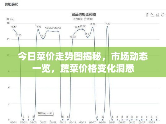 今日菜价走势图揭秘，市场动态一览，蔬菜价格变化洞悉