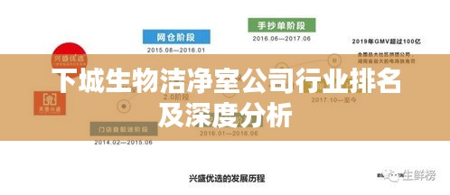 下城生物洁净室公司行业排名及深度分析