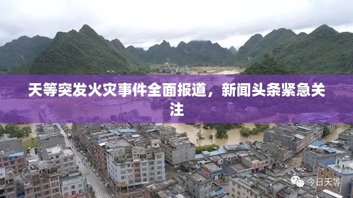 天等突发火灾事件全面报道，新闻头条紧急关注