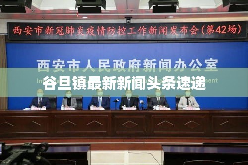 谷旦镇最新新闻头条速递