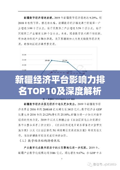 新疆经济平台影响力排名TOP10及深度解析