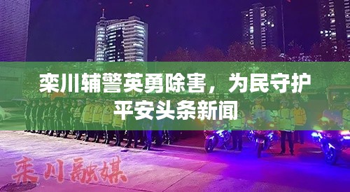 栾川辅警英勇除害，为民守护平安头条新闻
