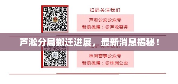 芦淞分局搬迁进展，最新消息揭秘！