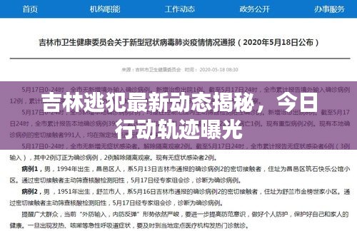 吉林逃犯最新动态揭秘，今日行动轨迹曝光