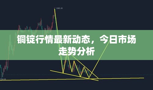 铜锭行情最新动态，今日市场走势分析