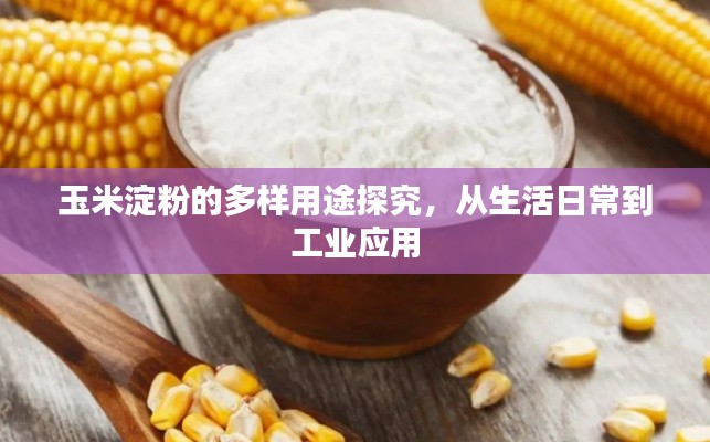 玉米淀粉的多样用途探究，从生活日常到工业应用