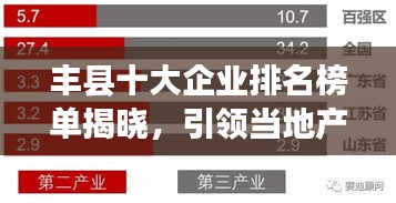 丰县十大企业排名榜单揭晓，引领当地产业蓬勃发展
