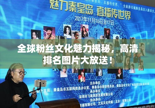 全球粉丝文化魅力揭秘，高清排名图片大放送！