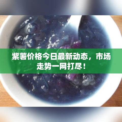 紫薯价格今日最新动态，市场走势一网打尽！