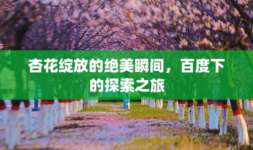 心得分享 第19页