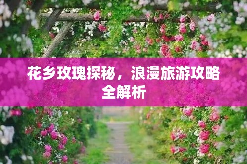 花乡玫瑰探秘，浪漫旅游攻略全解析