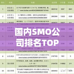 国内SMO公司排名TOP10，权威榜单揭晓