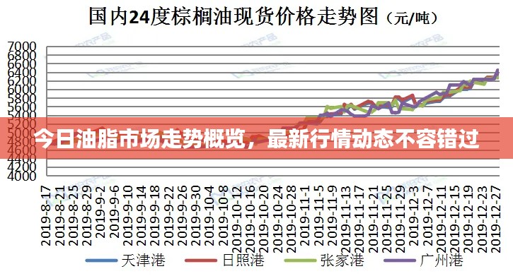 今日油脂市场走势概览，最新行情动态不容错过