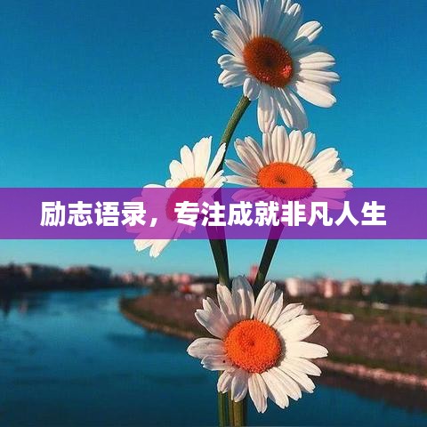 励志语录，专注成就非凡人生