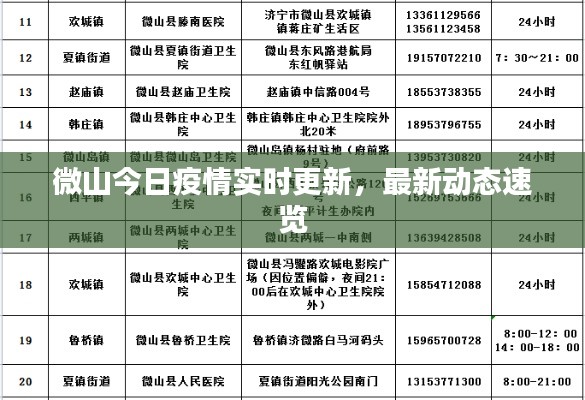 微山今日疫情实时更新，最新动态速览