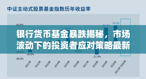 银行货币基金暴跌揭秘，市场波动下的投资者应对策略最新消息